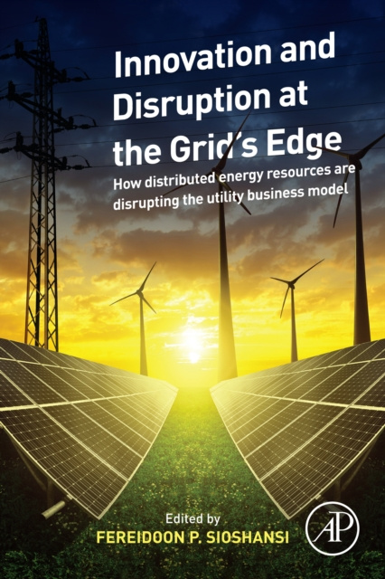 E-kniha Innovation and Disruption at the Grid's Edge Fereidoon Sioshansi