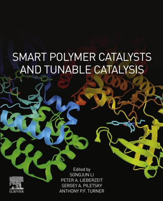 E-book Smart Polymer Catalysts and Tunable Catalysis Songjun Li