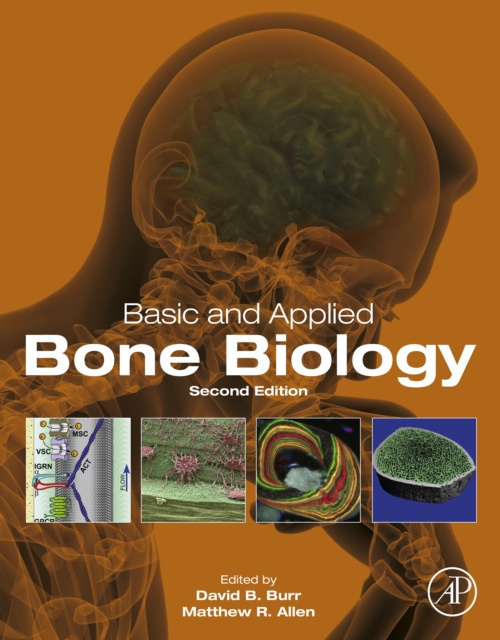 E-Book Basic and Applied Bone Biology David B. Burr