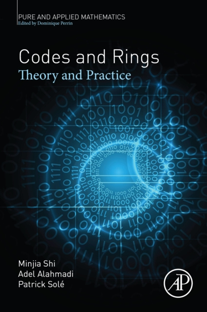 E-kniha Codes and Rings Minjia Shi