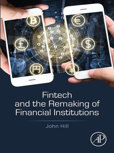 E-kniha Fintech and the Remaking of Financial Institutions John Hill