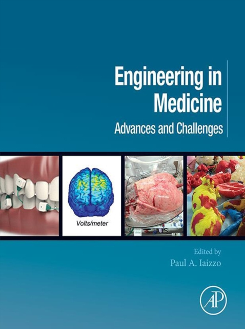 Libro electrónico Engineering in Medicine Paul A. Iaizzo