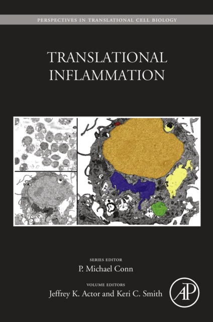 E-Book Translational Inflammation Jeffrey Actor