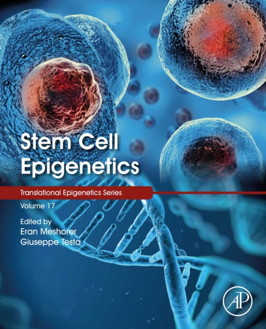 E-kniha Stem Cell Epigenetics Eran Meshorer