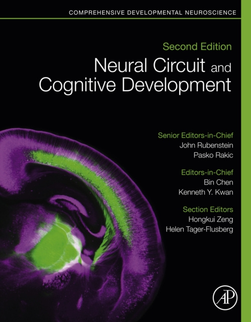 E-Book Neural Circuit and Cognitive Development John Rubenstein
