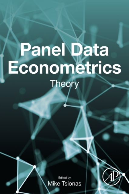 E-kniha Panel Data Econometrics Mike Tsionas