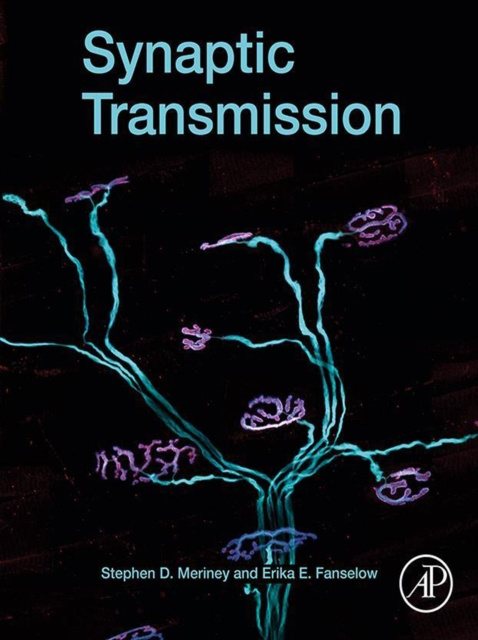 E-book Synaptic Transmission Stephen Meriney