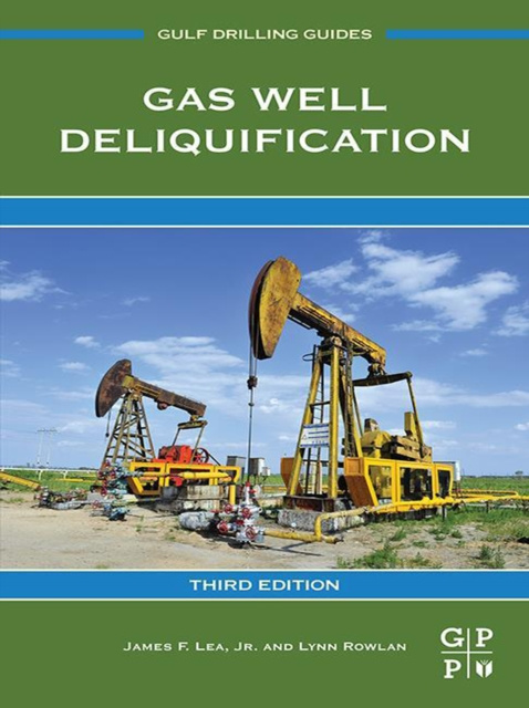E-kniha Gas Well Deliquification James F. Lea