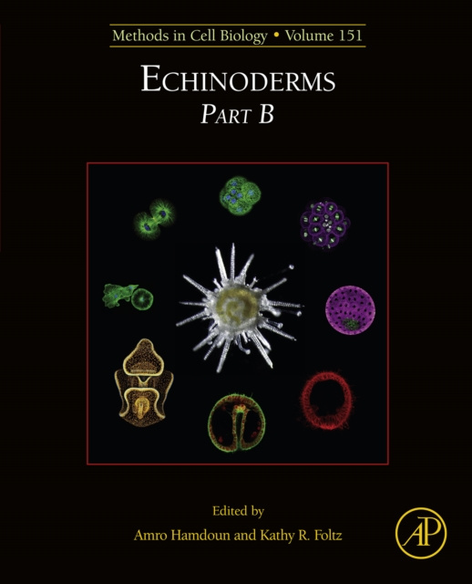 E-knjiga Echinoderms Part B Amro Hamdoun