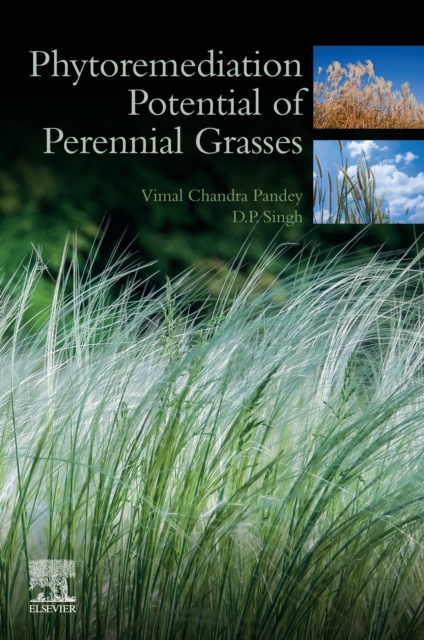 E-kniha Phytoremediation Potential of Perennial Grasses Vimal Chandra Pandey