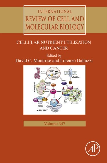 E-Book Cellular Nutrient Utilization and Cancer David Montrose