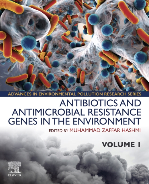 E-kniha Antibiotics and Antimicrobial Resistance Genes in the Environment Muhammad Zaffar Hashmi