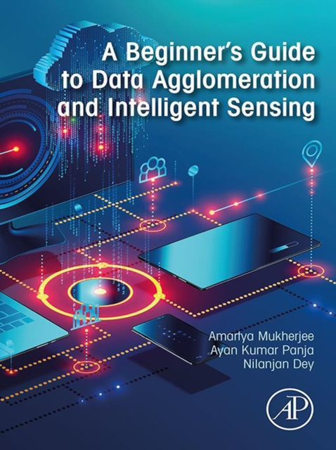 E-kniha Beginner's Guide to Data Agglomeration and Intelligent Sensing Amartya Mukherjee