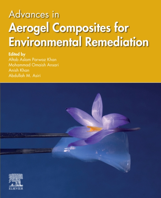 E-kniha Advances in Aerogel Composites for Environmental Remediation Aftab Aslam Parwaz Khan