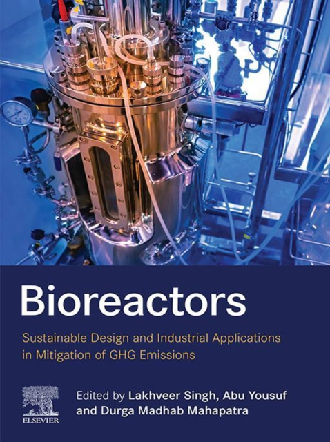 E-kniha Bioreactors Lakhveer Singh