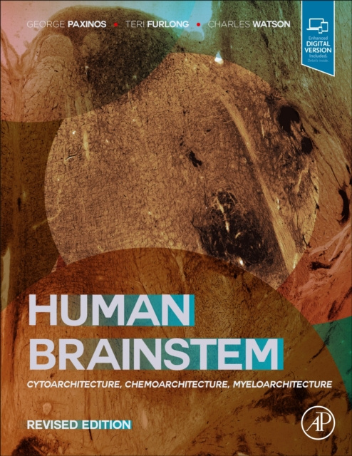 E-book Human Brainstem George Paxinos