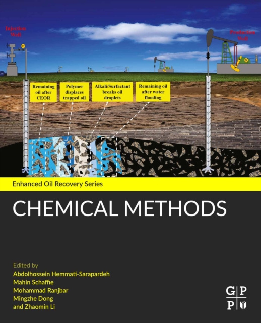E-book Chemical Methods Abdolhossein Hemmati-Sarapardeh