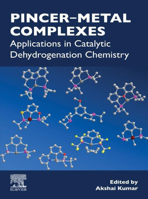 E-knjiga Pincer-Metal Complexes Akshai Kumar