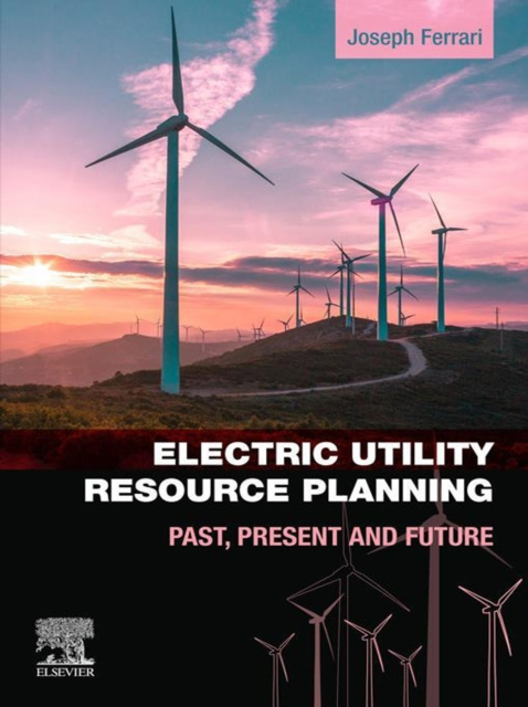 E-knjiga Electric Utility Resource Planning Joe Ferrari
