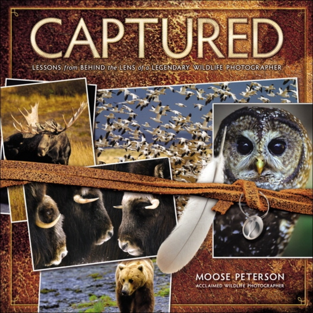E-kniha Captured Moose Peterson