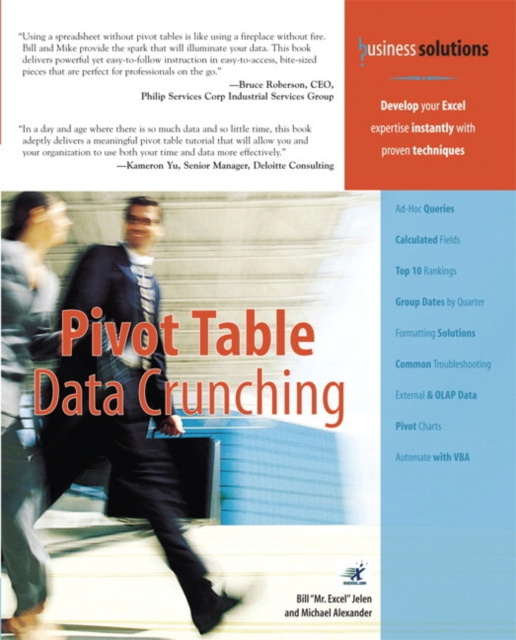 E-kniha Pivot Table Data Crunching Michael Alexander