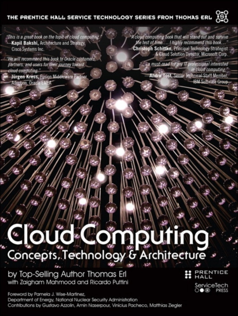 E-knjiga Cloud Computing Thomas Erl