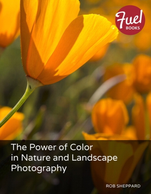 E-kniha Power of Color in Nature and Landscape Photography, The Rob Sheppard