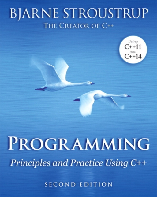 E-kniha Programming Bjarne Stroustrup