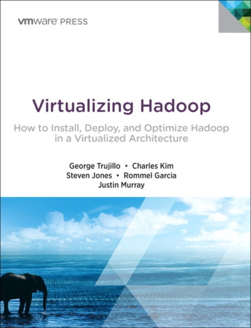E-book Virtualizing Hadoop George Trujillo