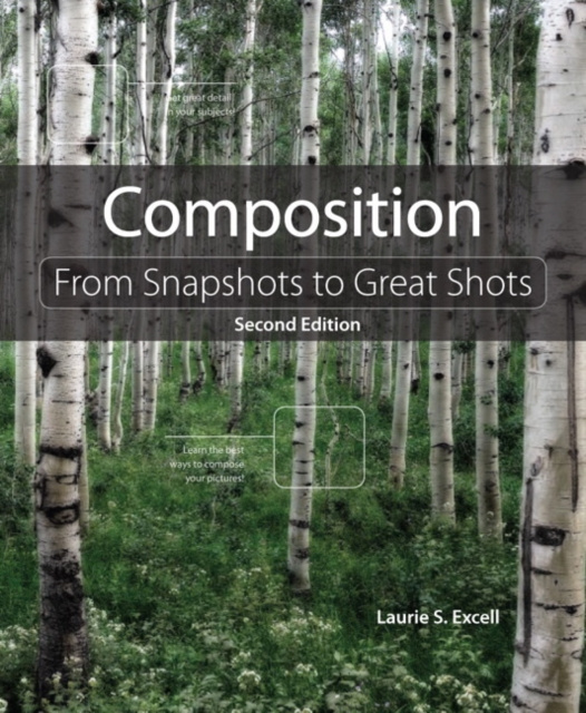 E-knjiga Composition Laurie S. Excell
