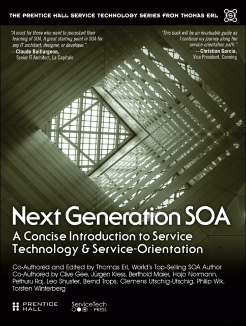 E-kniha Next Generation SOA Thomas Erl