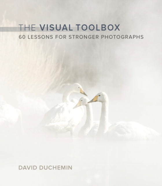 E-kniha Visual Toolbox, The David duChemin
