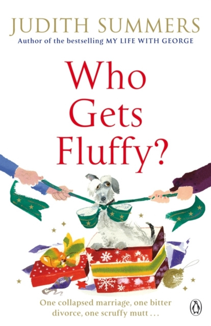 E-book Who Gets Fluffy? Judith Summers