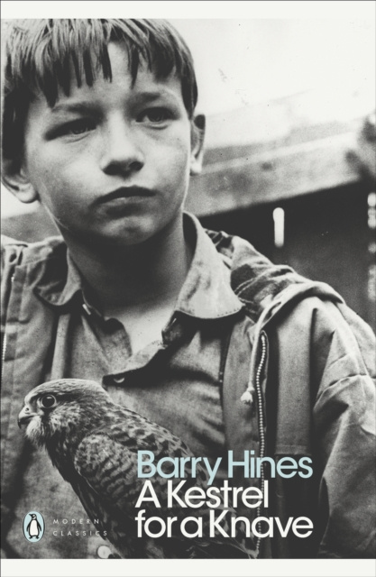 E-Book Kestrel for a Knave Barry Hines