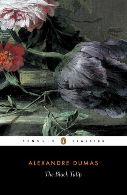 E-book Black Tulip Alexander Dumas
