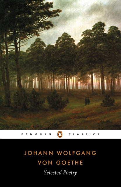 E-book Selected Poetry Goethe