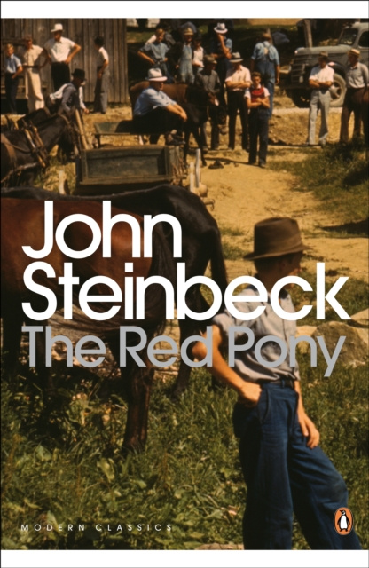 E-könyv Red Pony John Steinbeck