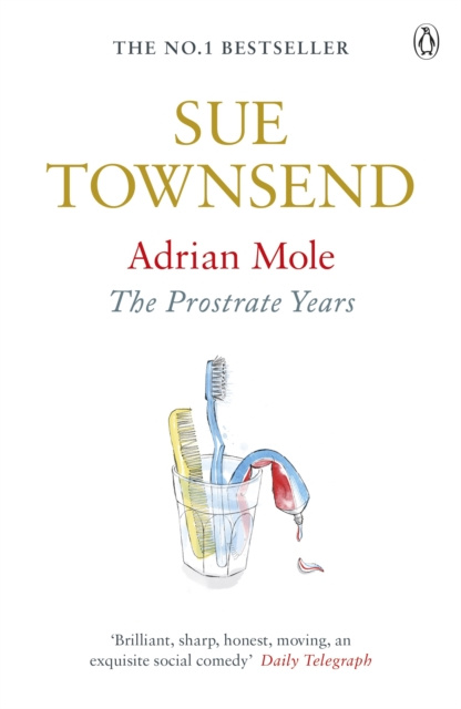 E-kniha Adrian Mole: The Prostrate Years Sue Townsend