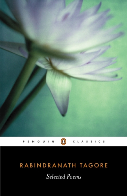E-knjiga Selected Poems Rabindranath Tagore