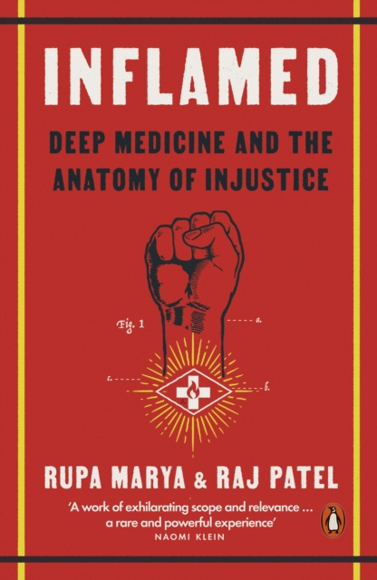 E-book Inflamed Rupa Marya
