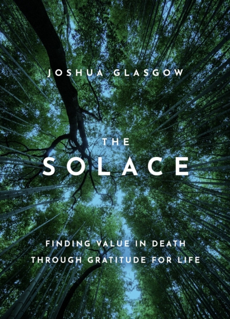 E-knjiga Solace Joshua Glasgow