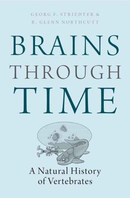 E-book Brains Through Time Georg F. Striedter