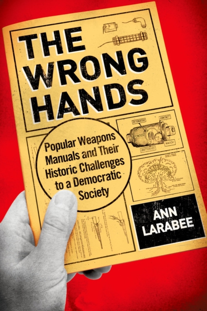 E-knjiga Wrong Hands Ann Larabee