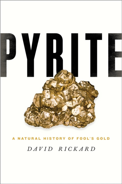 E-knjiga Pyrite David Rickard