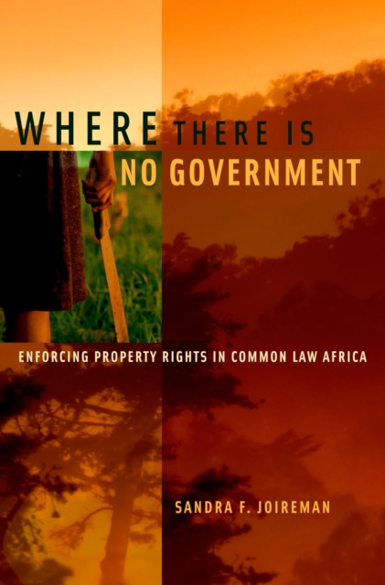 E-kniha Where There is No Government Sandra F. Joireman