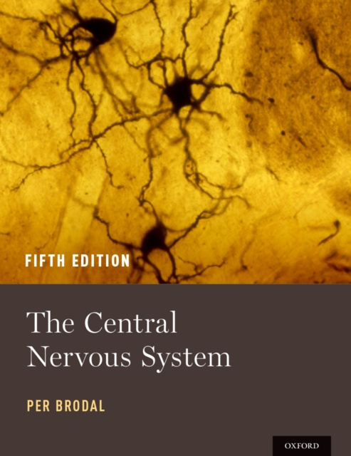 E-book Central Nervous System Per Brodal