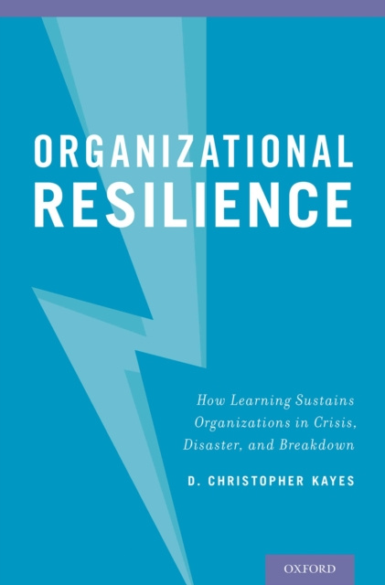 E-knjiga Organizational Resilience D. Christopher Kayes