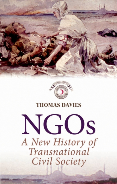 E-book NGOs Thomas Davies