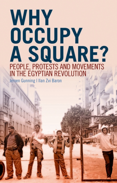 E-Book Why Occupy a Square? Jeroen Gunning