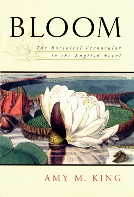 E-knjiga Bloom Amy King